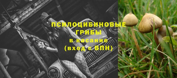 прущая мука Абдулино
