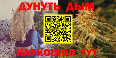 сатива Абинск
