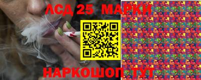 гидропоника Азнакаево