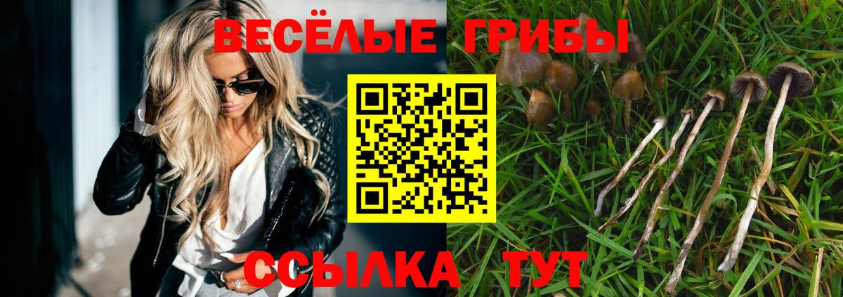 Псилоцибиновые грибы Magic Shrooms Абинск