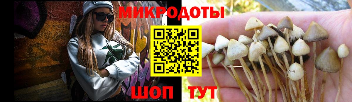 Галлюциногенные грибы MAGIC MUSHROOMS Абинск